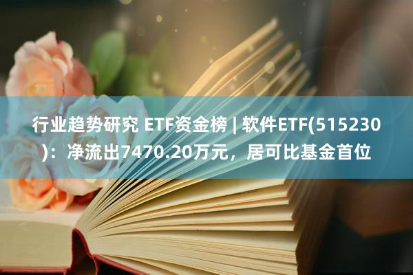 行业趋势研究 ETF资金榜 | 软件ETF(515230)：净流出7470.20万元，居可比基金首位