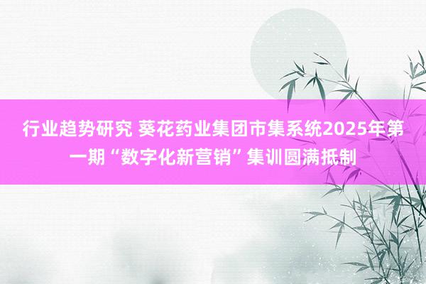 行业趋势研究 葵花药业集团市集系统2025年第一期“数字化新营销”集训圆满抵制