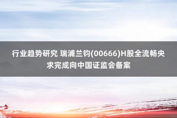 行业趋势研究 瑞浦兰钧(00666)H股全流畅央求完成向中国证监会备案